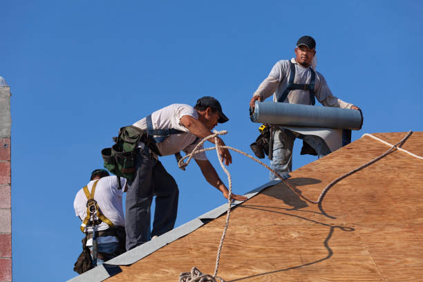Best New Roof Installation  in Marks, MS