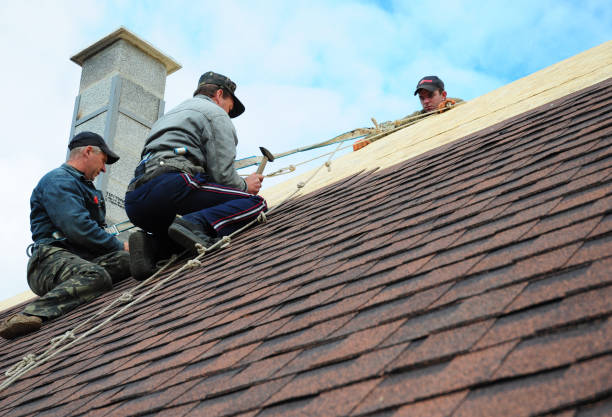 Roof Gutter Cleaning in Marks, MS